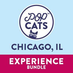 Chicago Experience