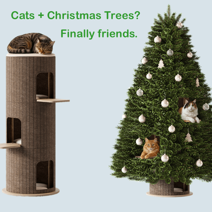 POPCats _1