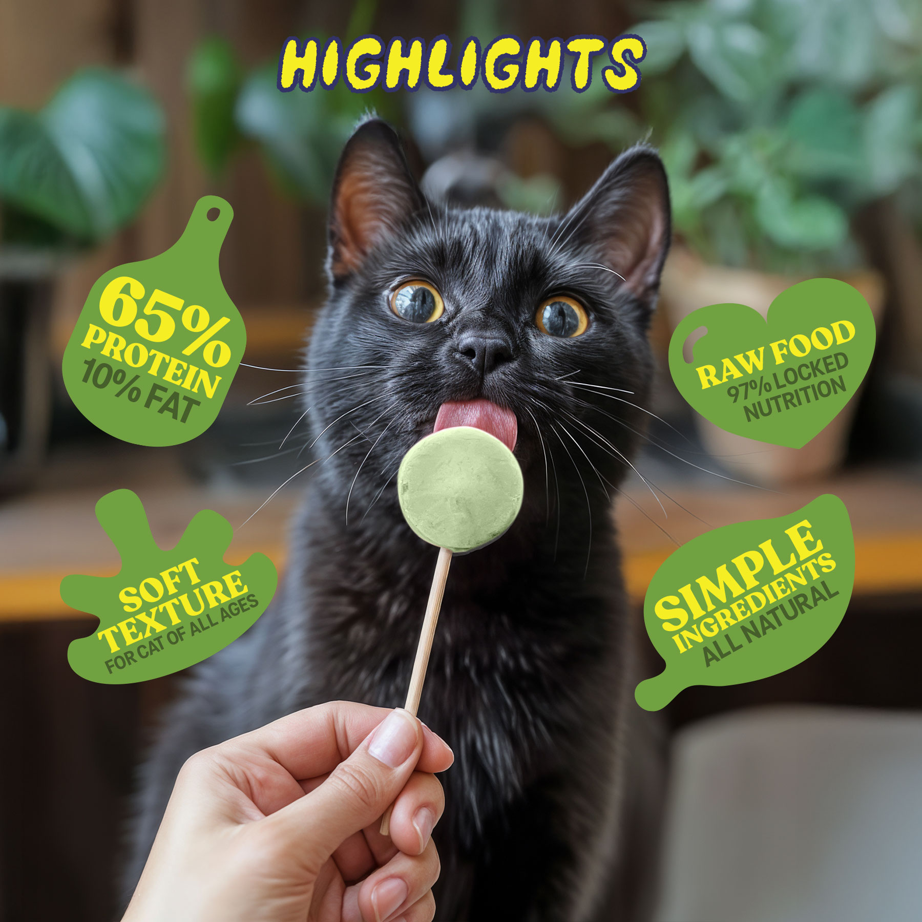 Michi Yums - Cat Treats - POP Cats