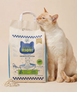 Cat beside tofu cat litter bag