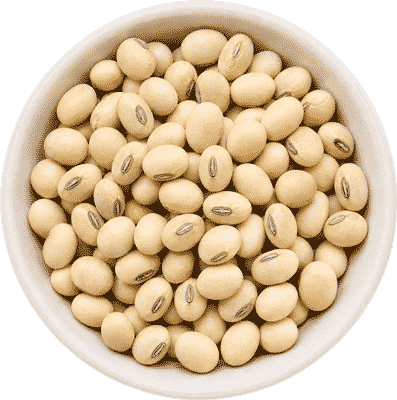 pcs-lr-ingredient-soybean
