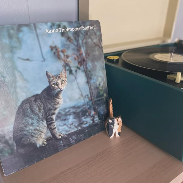 Big Stretch Vinyl