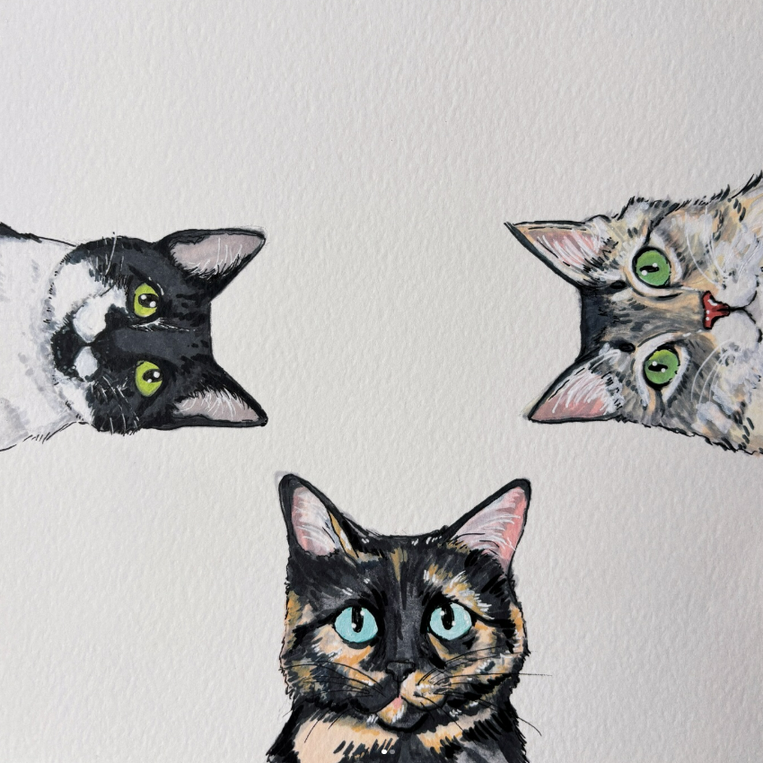 Cactus Cat Studio