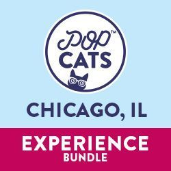 Chicago Experience
