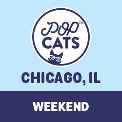 Chicago Weekend
