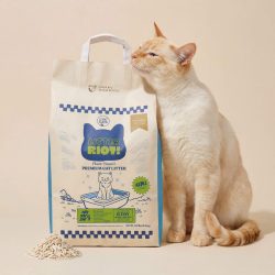 Cat beside tofu cat litter bag