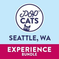 Seattle Experience