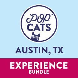 atx experience